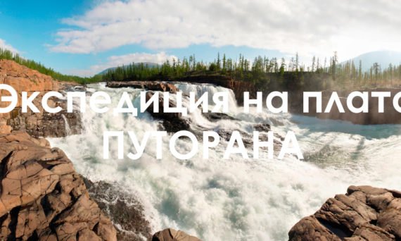 yPEkgr9hk8I